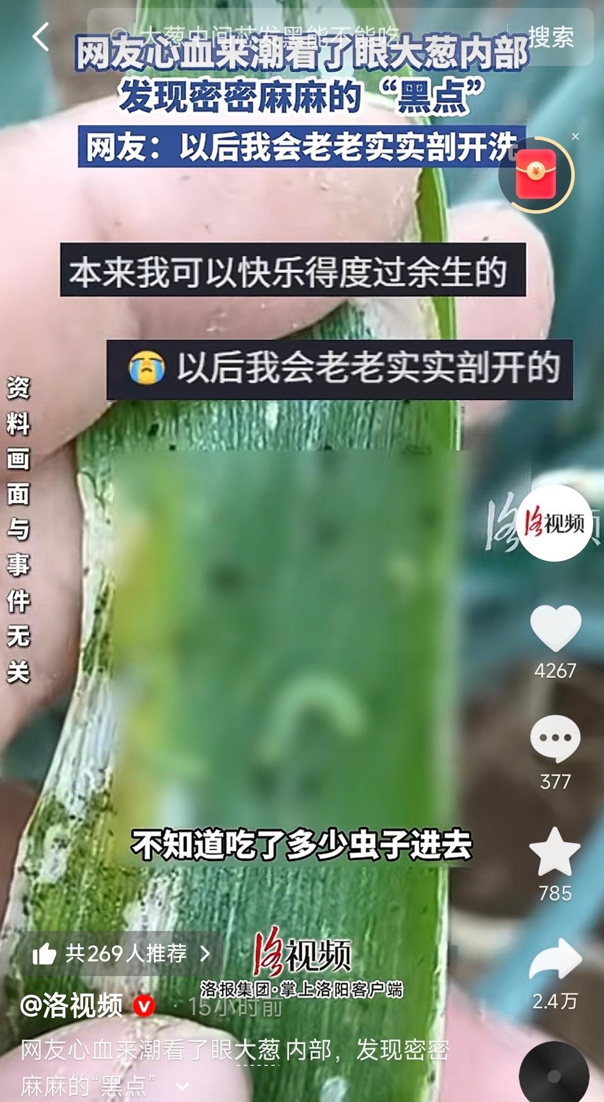 一女子在家准备给排骨焯水，葱姜蒜都备好了。开火前她心血来潮，拿起一根葱段想看看里
