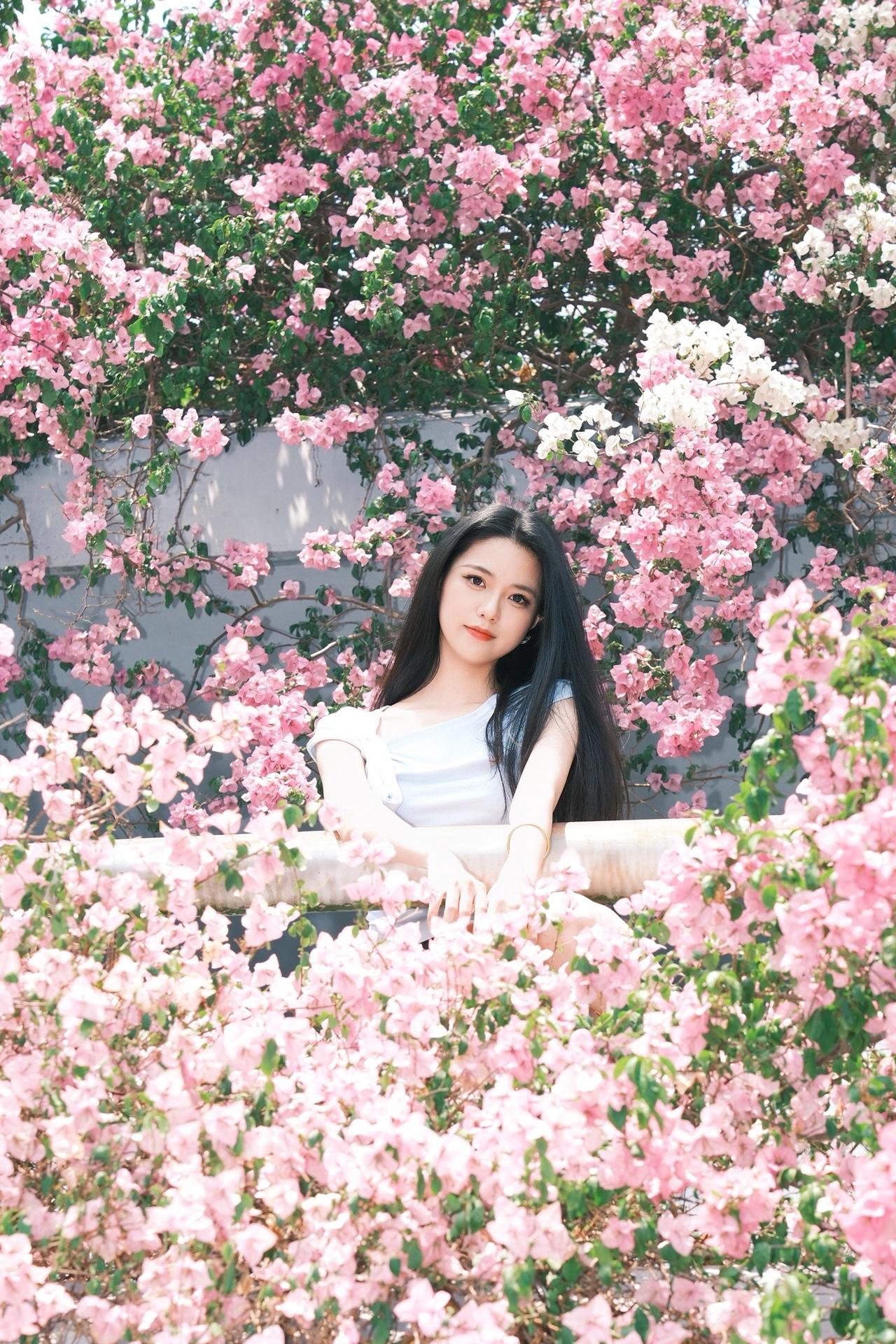 三角梅仙湖植物园深圳约拍