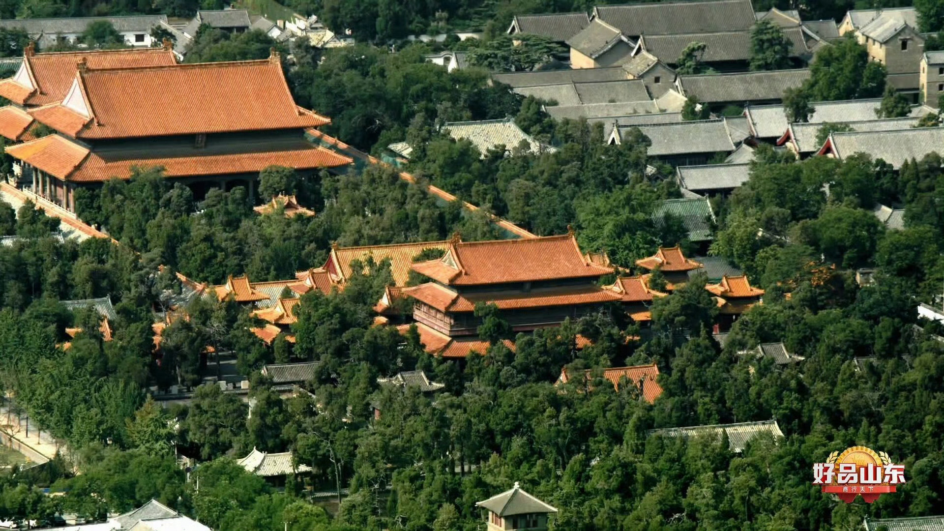 海上有个新山东这个秋天，来山东邂逅最美海岛！渔港烟火与现代海滨碰撞，赶海拾趣、踏