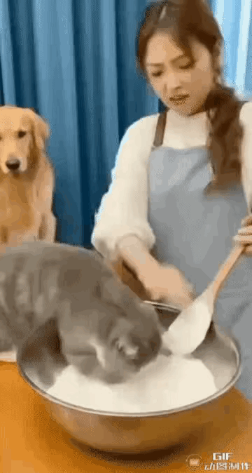 不懂就问，这个是AI吗？