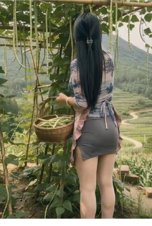 菜园一角庭院中有小菜园；蔬菜品种还挺多；土豆茄子和辣椒；番茄芸豆和角瓜；