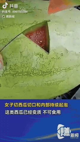 “笑不活了！”东北辽宁，一女子去自家瓜地里挑了一个大西瓜说：“保熟！”随后女子