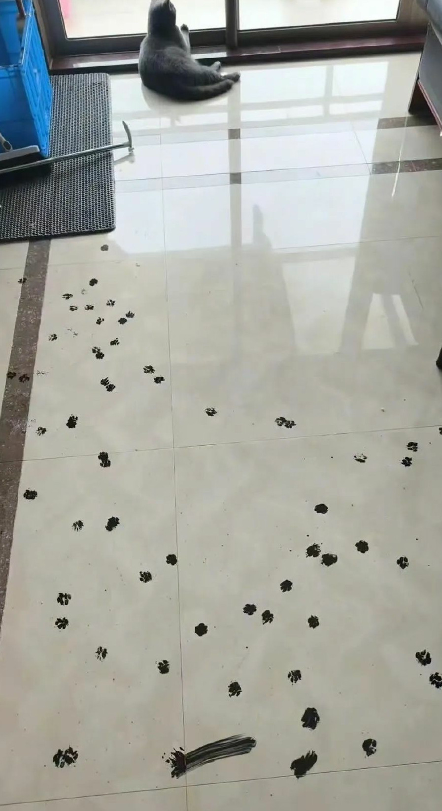 猫和老鼠果然是纪录片
