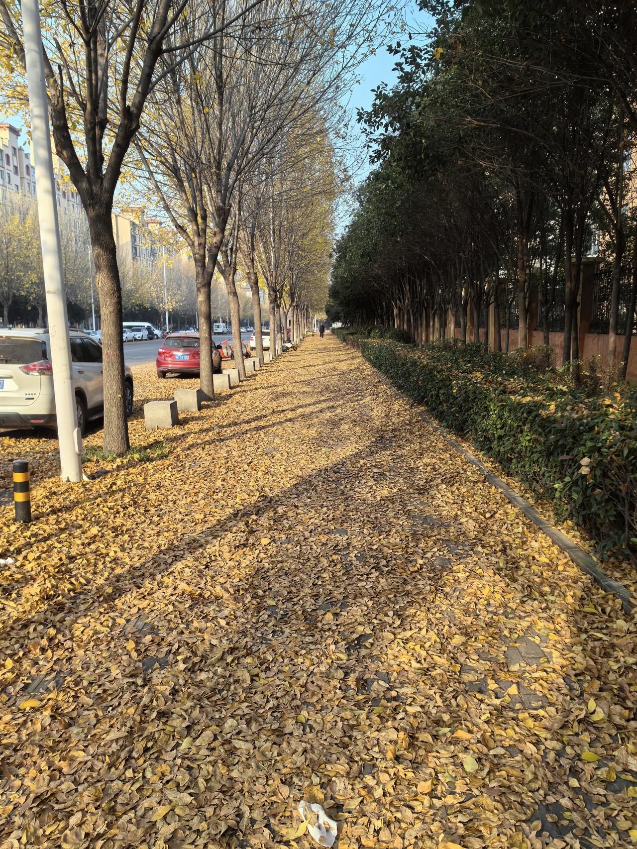 有高中生的家长，世上没有后悔药！不要等到孩子高考成绩出来再知道：1、在排座位