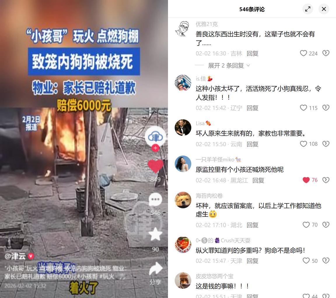 7年的家人，被6000块划了句号。江苏俩小孩玩火，烧了狗棚里的萨摩。家长