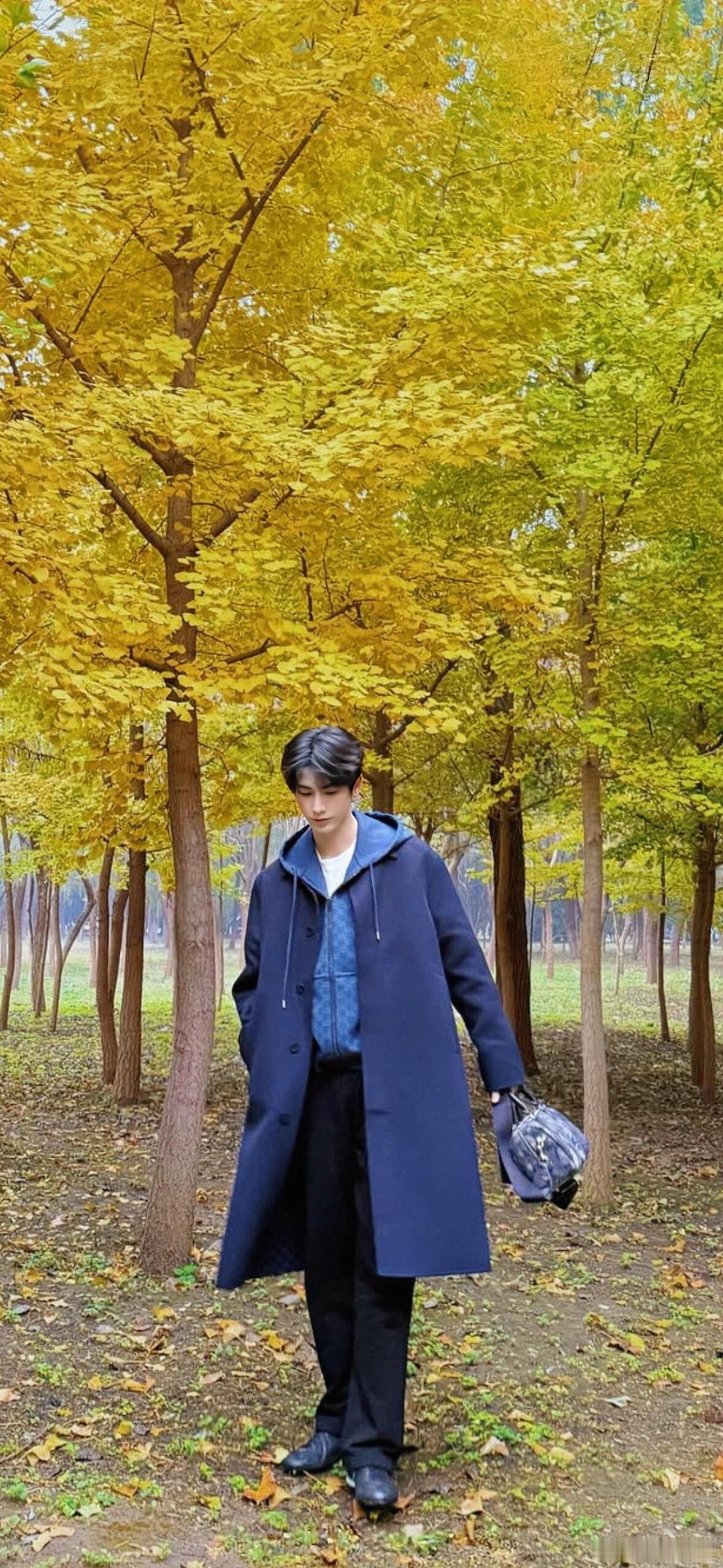 张凌赫-枫叶和他｜壁纸+1粉张凌赫会出现一种情况，我还沉浸在上一组图里的时候，他