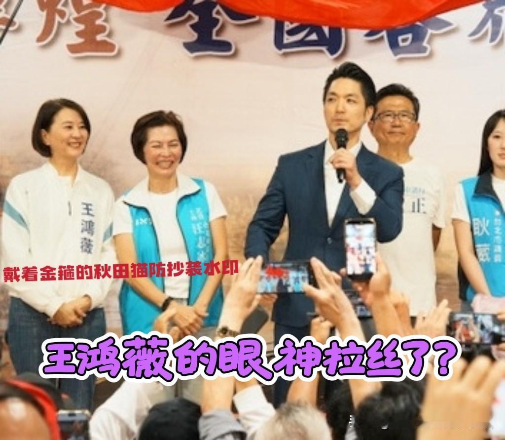大家有没有注意到？王鸿薇看向蒋万安的眼神都带拉丝，目光里不仅仅是欣赏，更多的是温