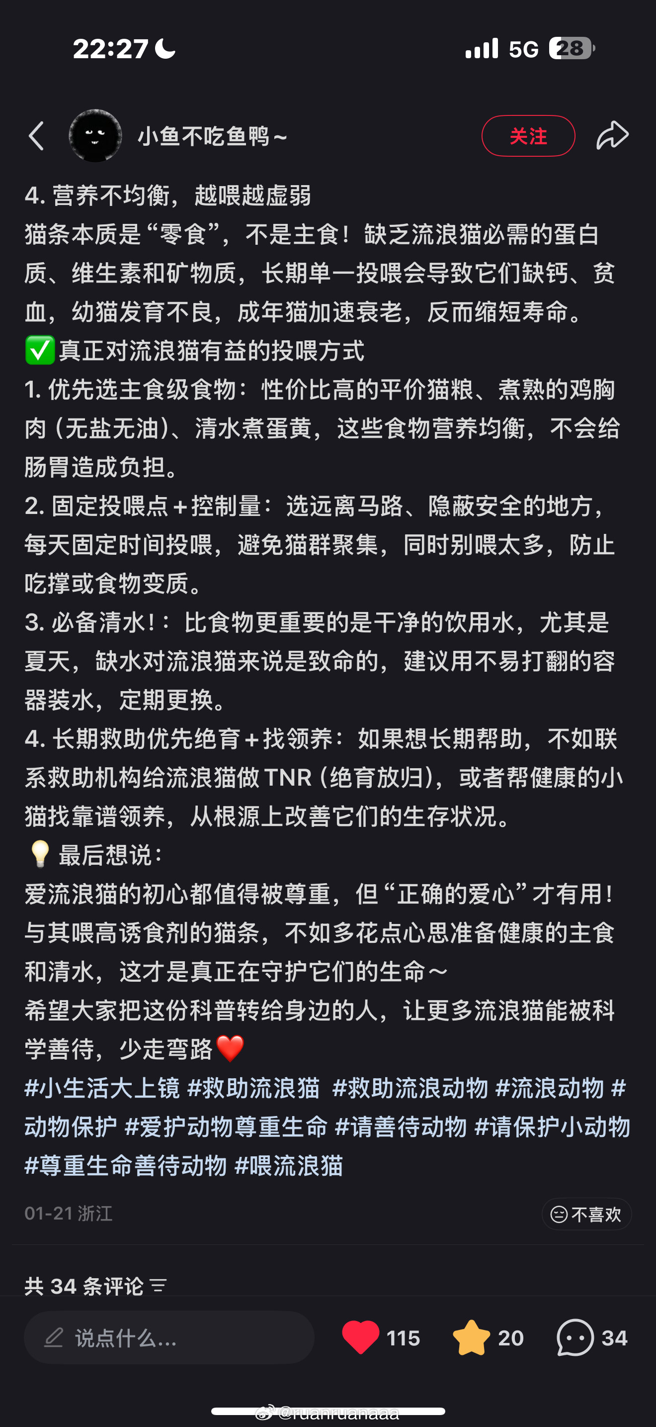 姐妹们原来我一直做错了！！！这样投喂流浪猫是错的！！！！最近老是碰到这只小猫看