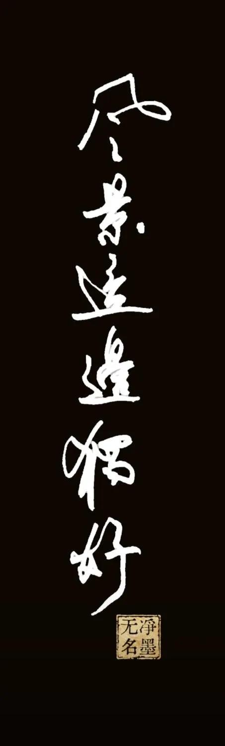 钢笔书写风景这边独好落款印章：净墨无名书法简评章法：长条竖幅单行文布局，