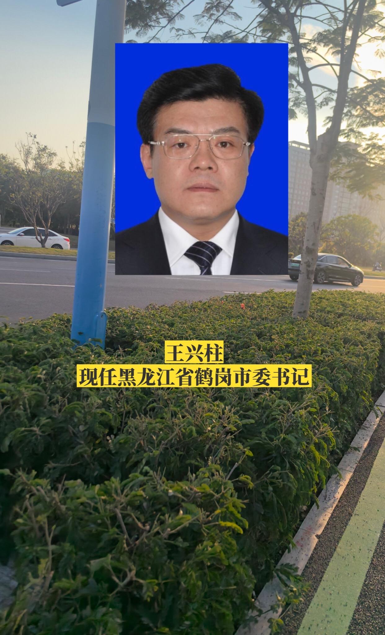 黑龙江鹤岗市委领导。