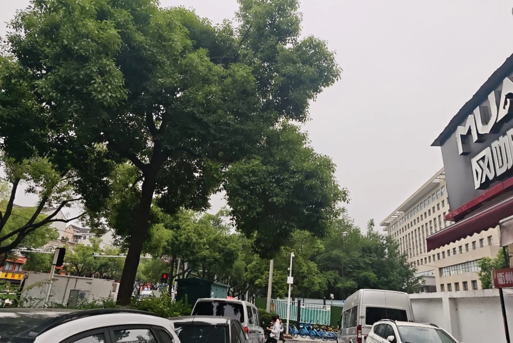 假如张三知晓自己病重，只剩三个月生命，便在网上各网贷平台借款，共借50万给家