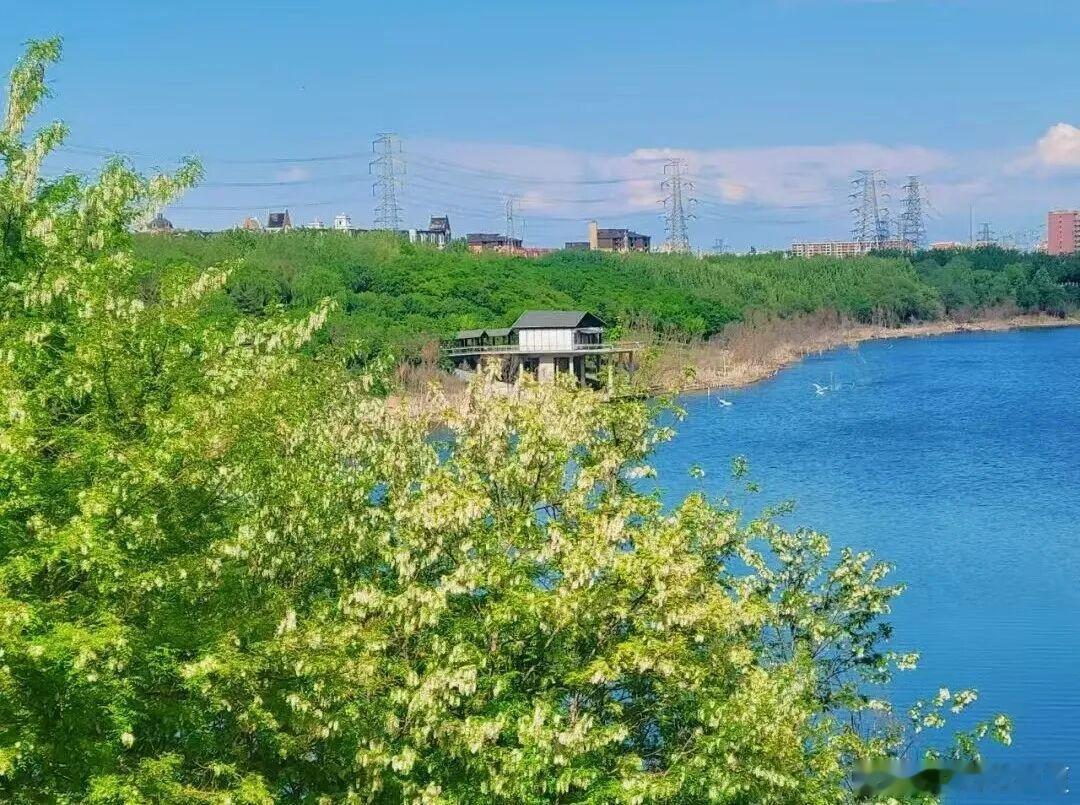 浅秋安然，草木随风～​​​