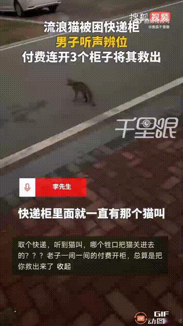 福建福州一名男子下班后去小区快递柜取快递时，发现快递柜里面传出了小猫的声音，于是