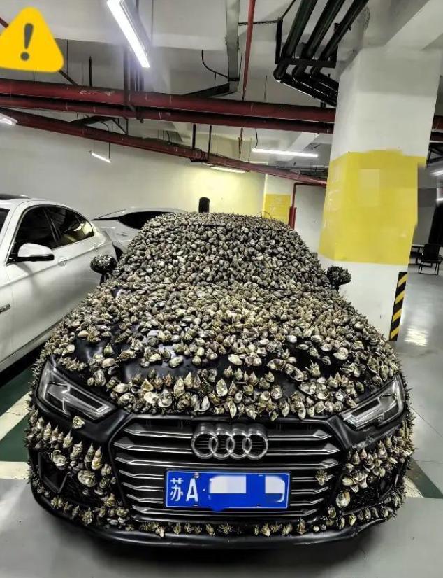 “一分钱不要，也得让你长记性！”业主车位被霸占10天，一怒之下做了这种事最近