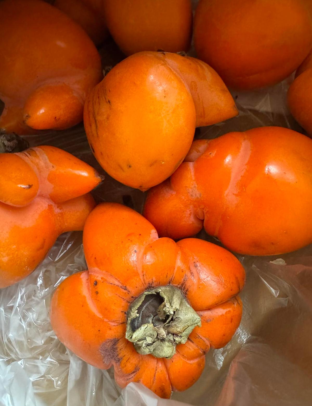 老人送你一袋自家腌的咸菜，你嫌土。他却觉得，这袋菜比你买的千元礼盒还重。他爬