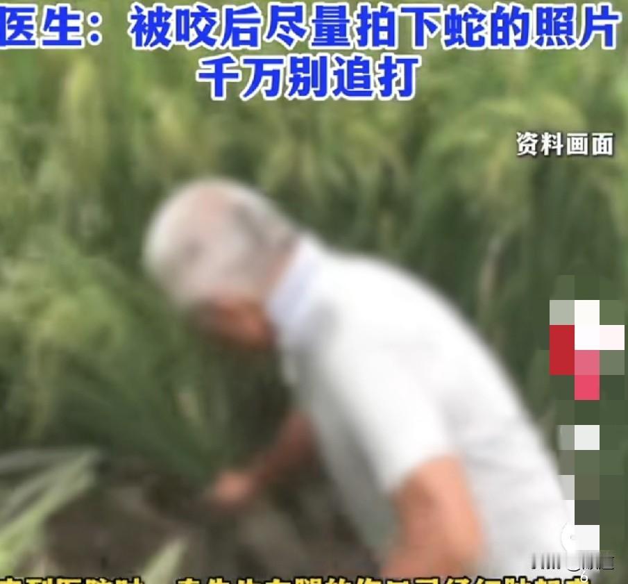 近日，杭州52岁男子下地干活时不慎被毒蛇咬了一口。一阵剧病袭来，他忍住剧痛楞是