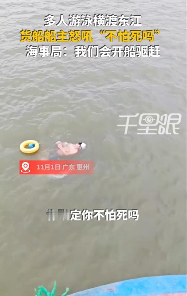 “真不怕吗？”11月1日，广东惠州，一艘货船在东江正常航行，正要穿过惠州大桥时，