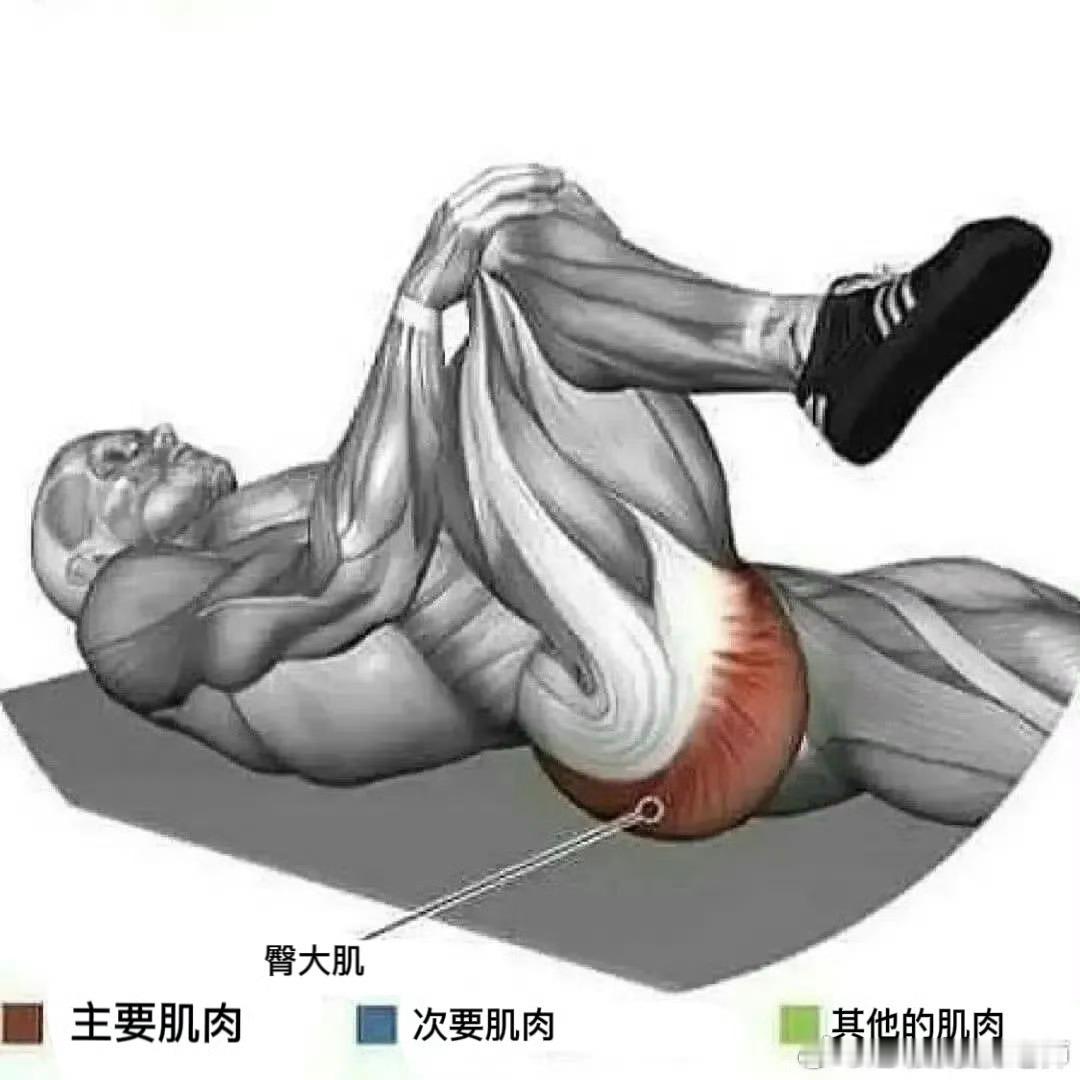 肌肉放松【全身肌肉拉伸】继续来一波放松通过轻柔适当地拉伸，缓解身体肌肉的酸痛，