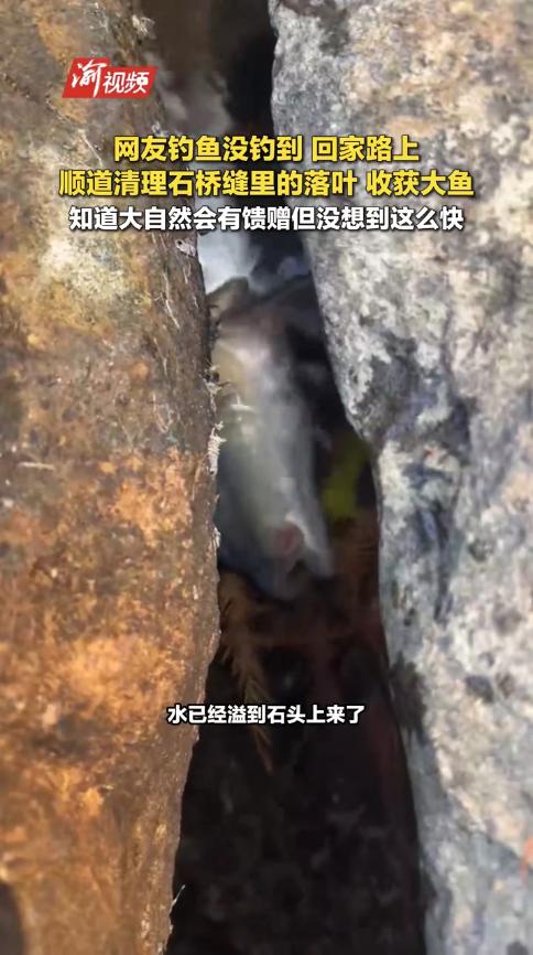 “这就是命啊！”11月26日，云南，一女子在河边钓鱼，结果一天都没钓到，最终失落