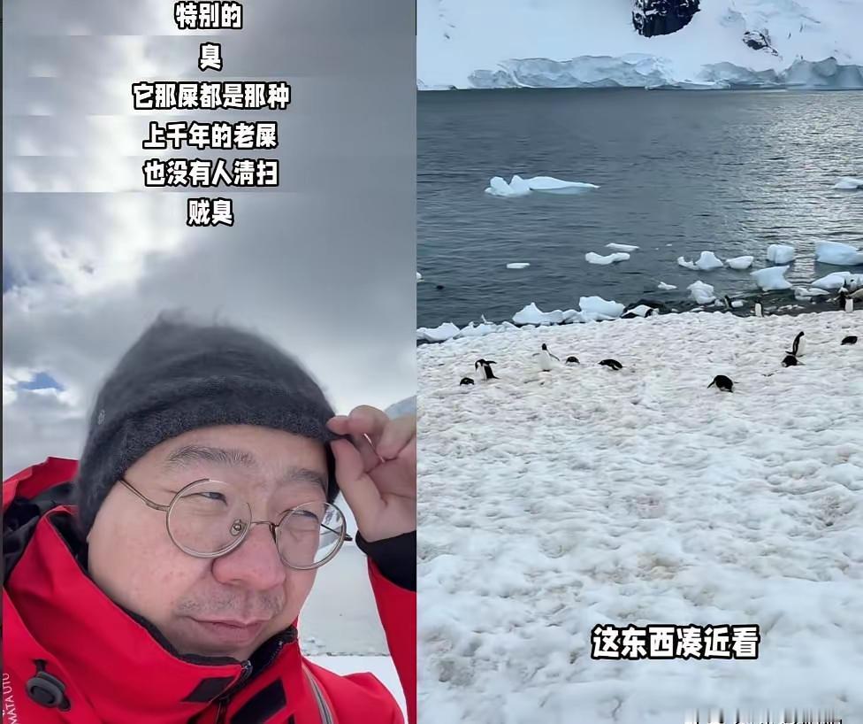 看完李诞的南极行，我直接破防了……原来花了20万
