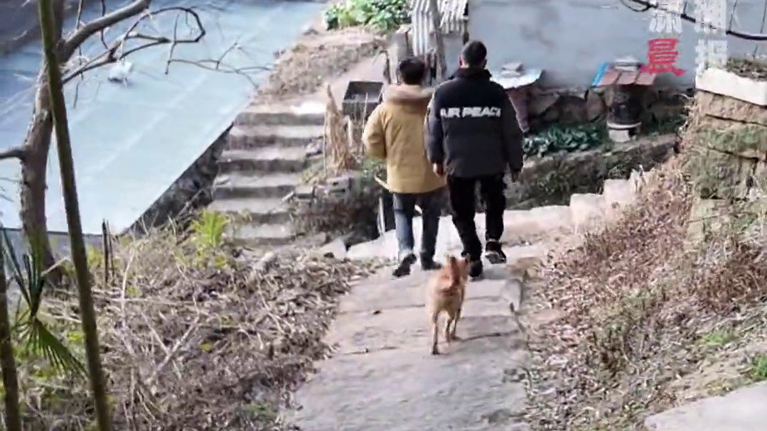 泸州花坛白骨案：受害者儿子寻母记 全城奔波找线索