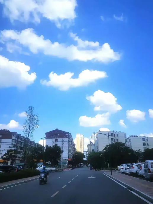 浙江杭州有一家这样的公司，只要你每天交60元钱，就可以来这上一天班，公司像模像样