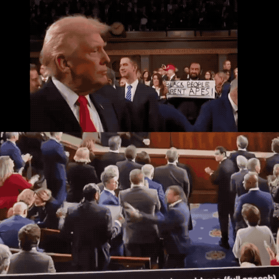 特朗普发表国情咨文演讲：议员打标语“黑人不是猿猴”，旁边马上有人过来抢！24日特