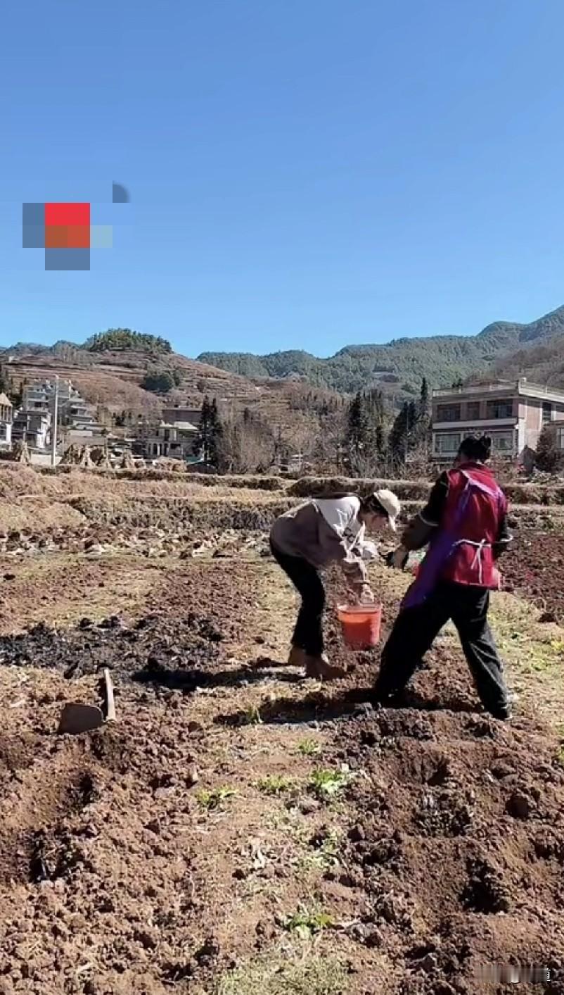 云南农村现在都可以种土豆了。好像南方的农村一年四季都可以种植。班上服务生小罗是