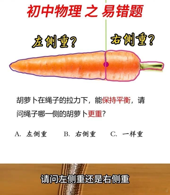 一道初中物理易错题你答的对吗：胡萝卜在绳子的拉力下，能保持平衡，请问绳子哪一侧的