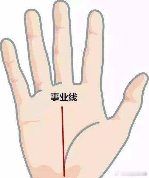 手相小常识指缝宽，事业强食指与中指间的缝隙，暗藏事业运密码。若缝隙较宽，说明此人思维敏捷、做事谨慎，