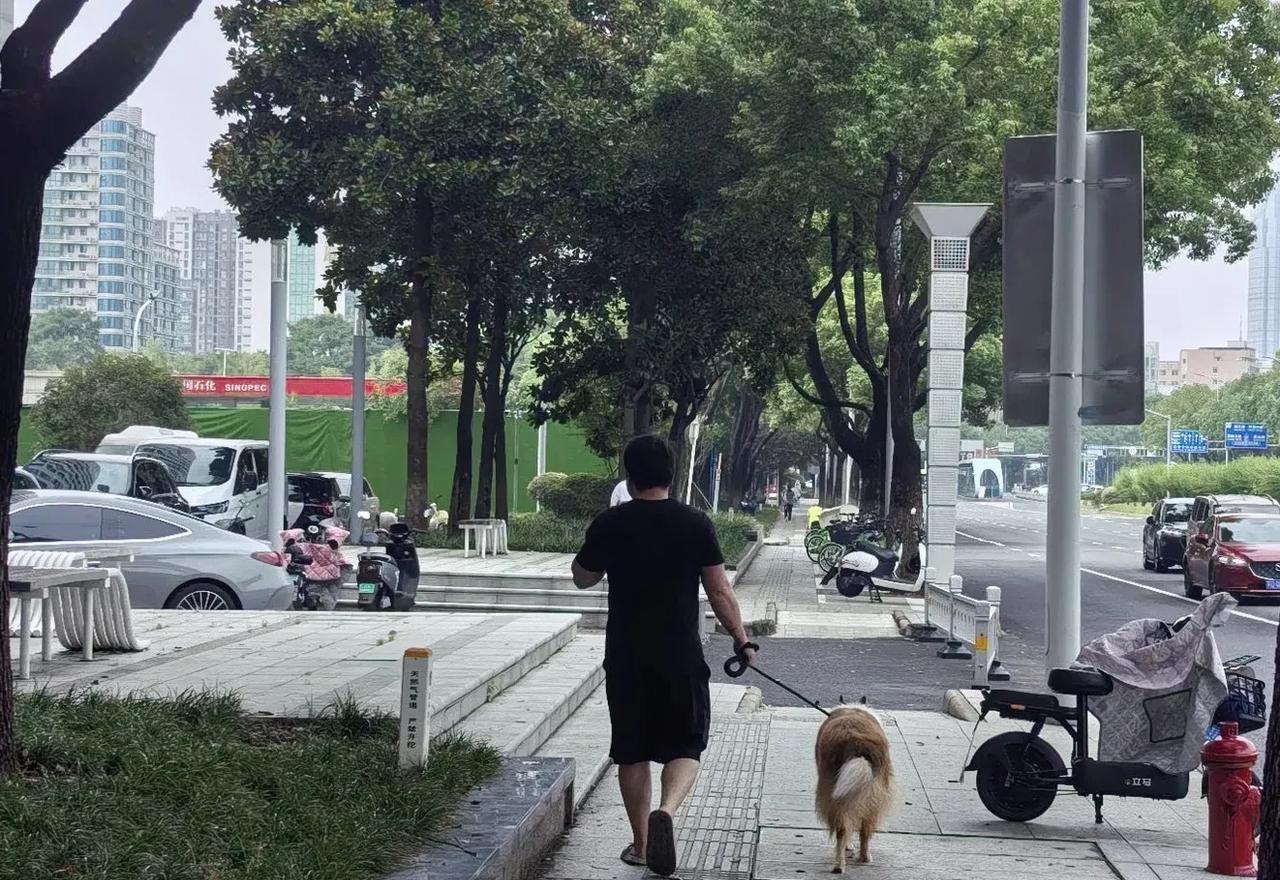 半路遇到一位帅哥，带着他的狗狗出来遛弯。这狗狗浑身有着长长的毛，金色、白色还有