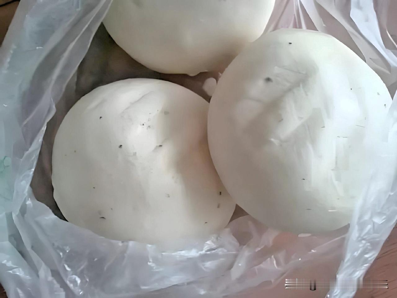 冰箱门敞开着，女儿的手伸向那袋白面馒头。我眼睁睁看着她把袋子整个拎出来，转身就往