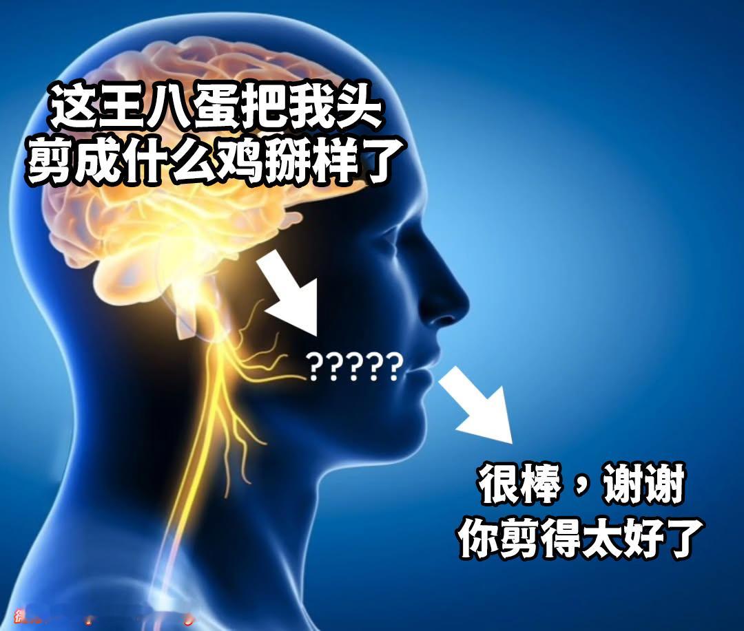 这跟本就是我meme​​​