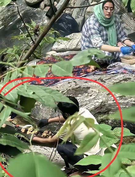 太让人气愤！印度这是把我们的森林当成他们自家后院了吗？ 秦岭防火区里竟有印度