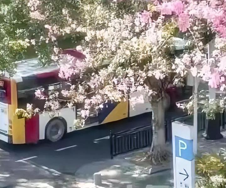 这是偷习惯了吗？一张照片也偷，得知是韩国，网友们释然了。韩国一博主发布了一张街