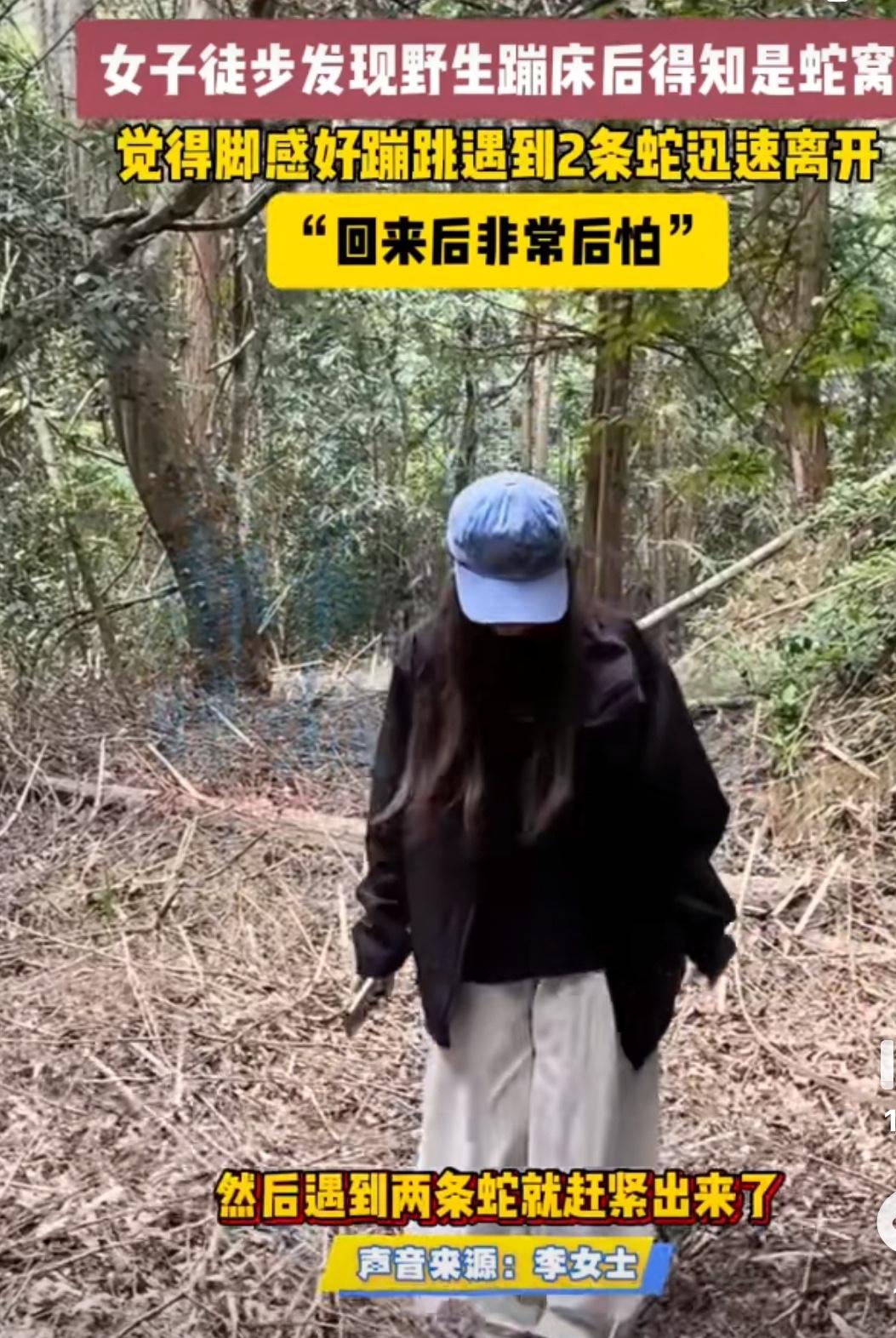 这可不是电影特效!李女士的徒步之旅上演了真实版“致命蹦床”——她竟在蛇窝上纵身跳