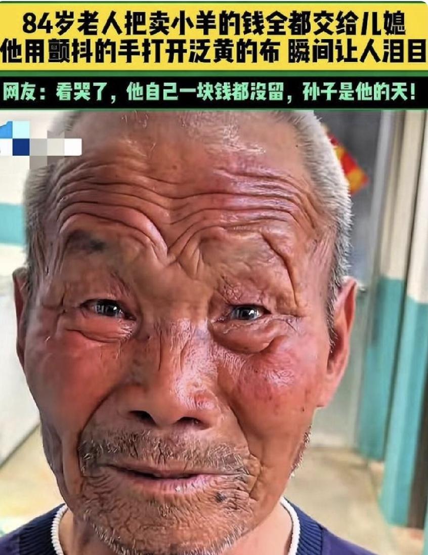 山东84岁老人卖掉唯一的羊，全款交给儿媳，一句话看哭所有人让人泪目了！山东
