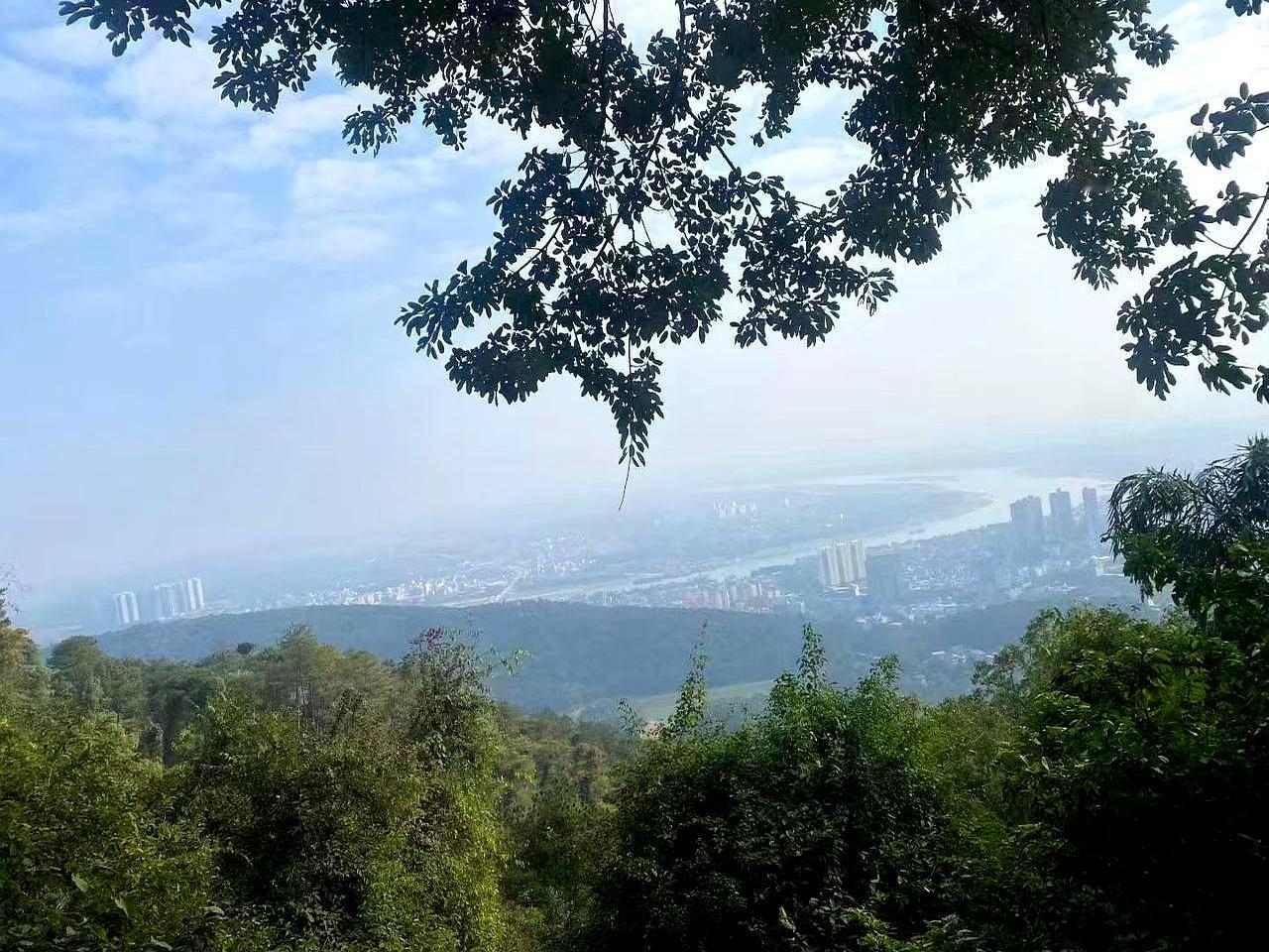 现在房租是降了，可我一点不慌。为啥？手头捏着三份收入，心里就是踏实，这都是自