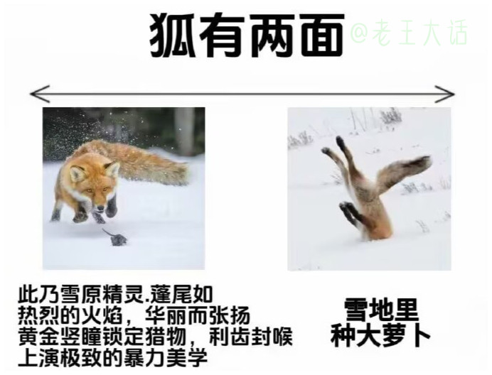 反差系列：“他的双眸…”哈哈哈哈这个梗我能笑一天年