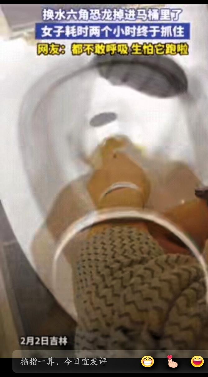 不忍直视！吉林一女子上完厕所，直接将手伸进马桶，一扣就是2小时，原来女子在家给六