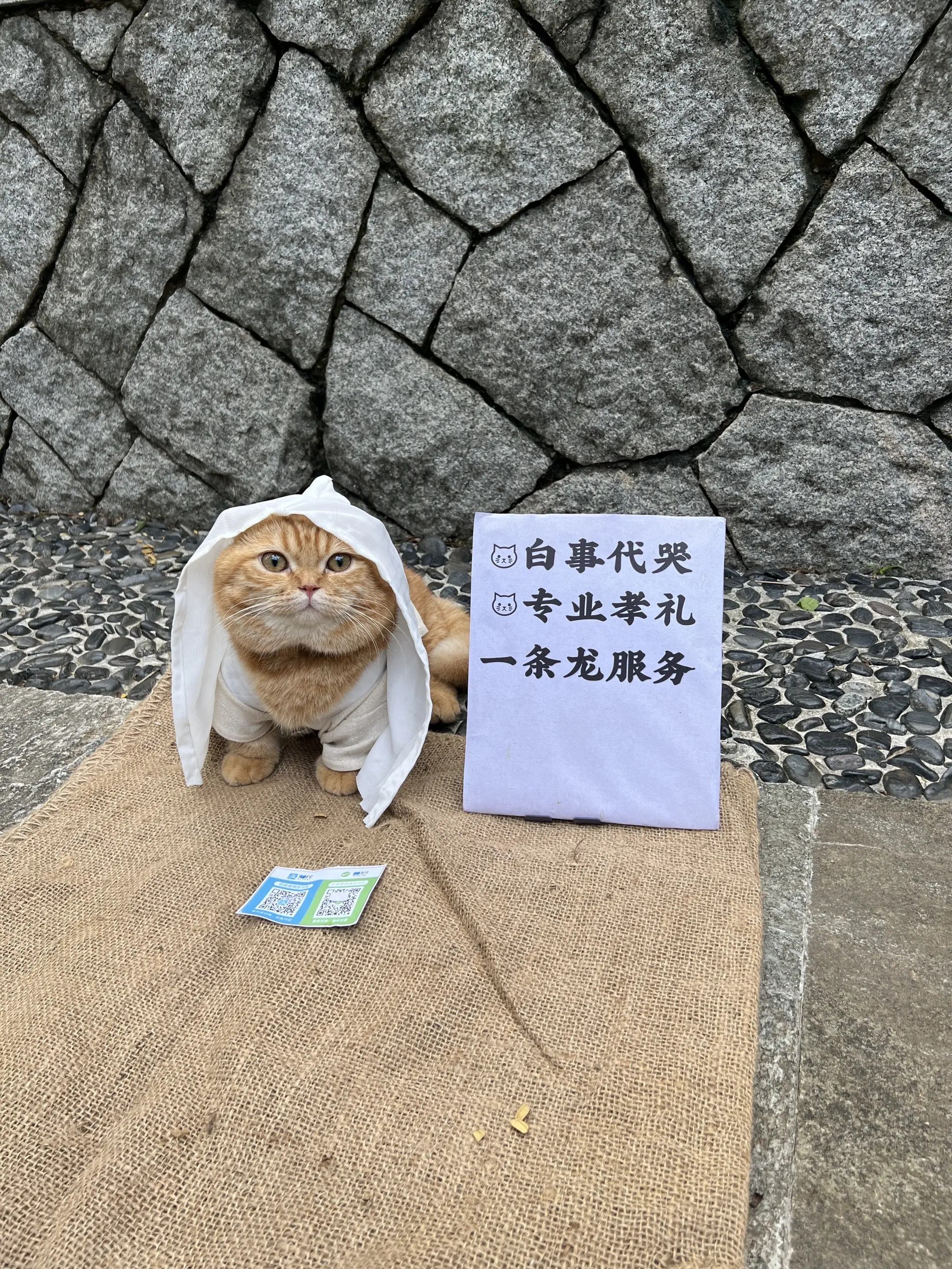 清明节，本咪得赚点外快……