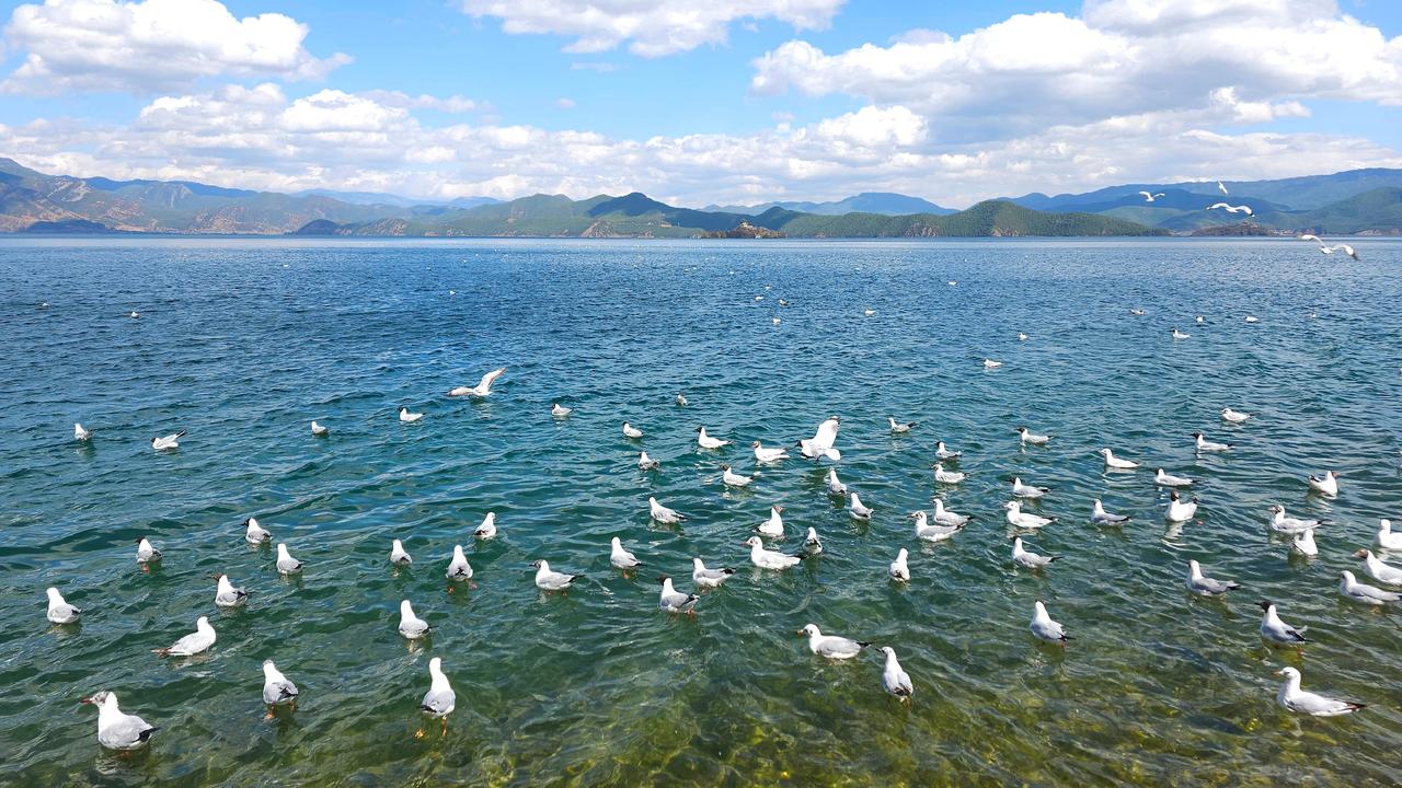 今日按计划将从泸沽湖到达香格里拉市，天气预报云南高原和高山地区降雪，早饭后，冒雪