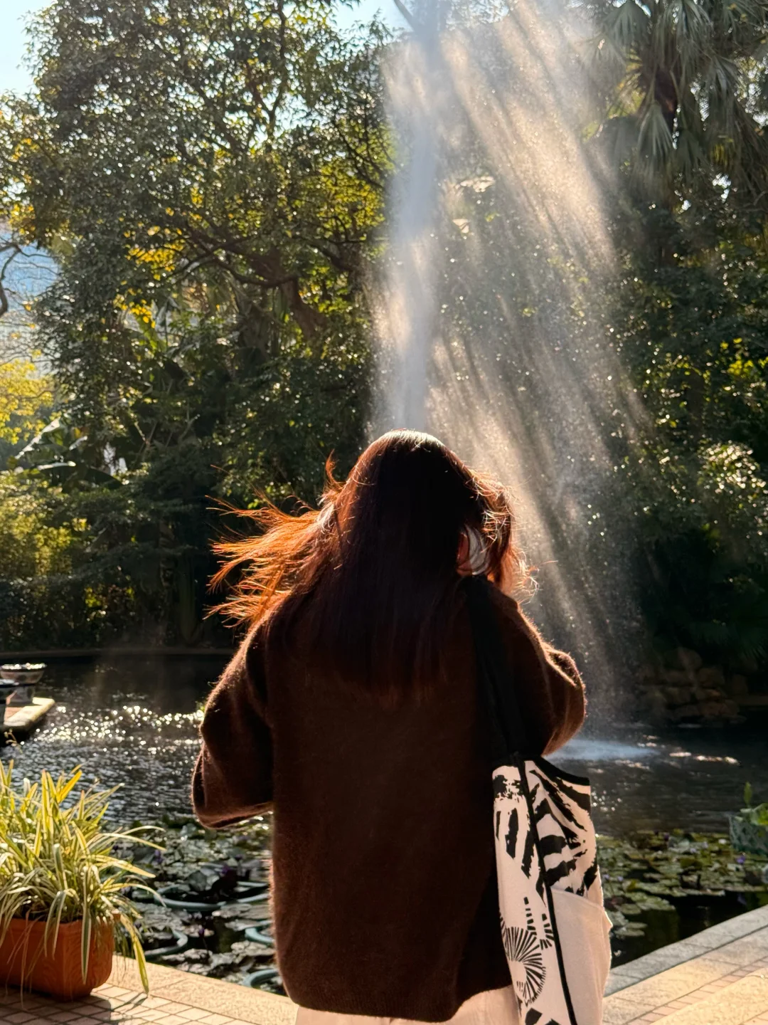 ⛲低能量的时候要去🇭🇰九龙公园！好好拍啊