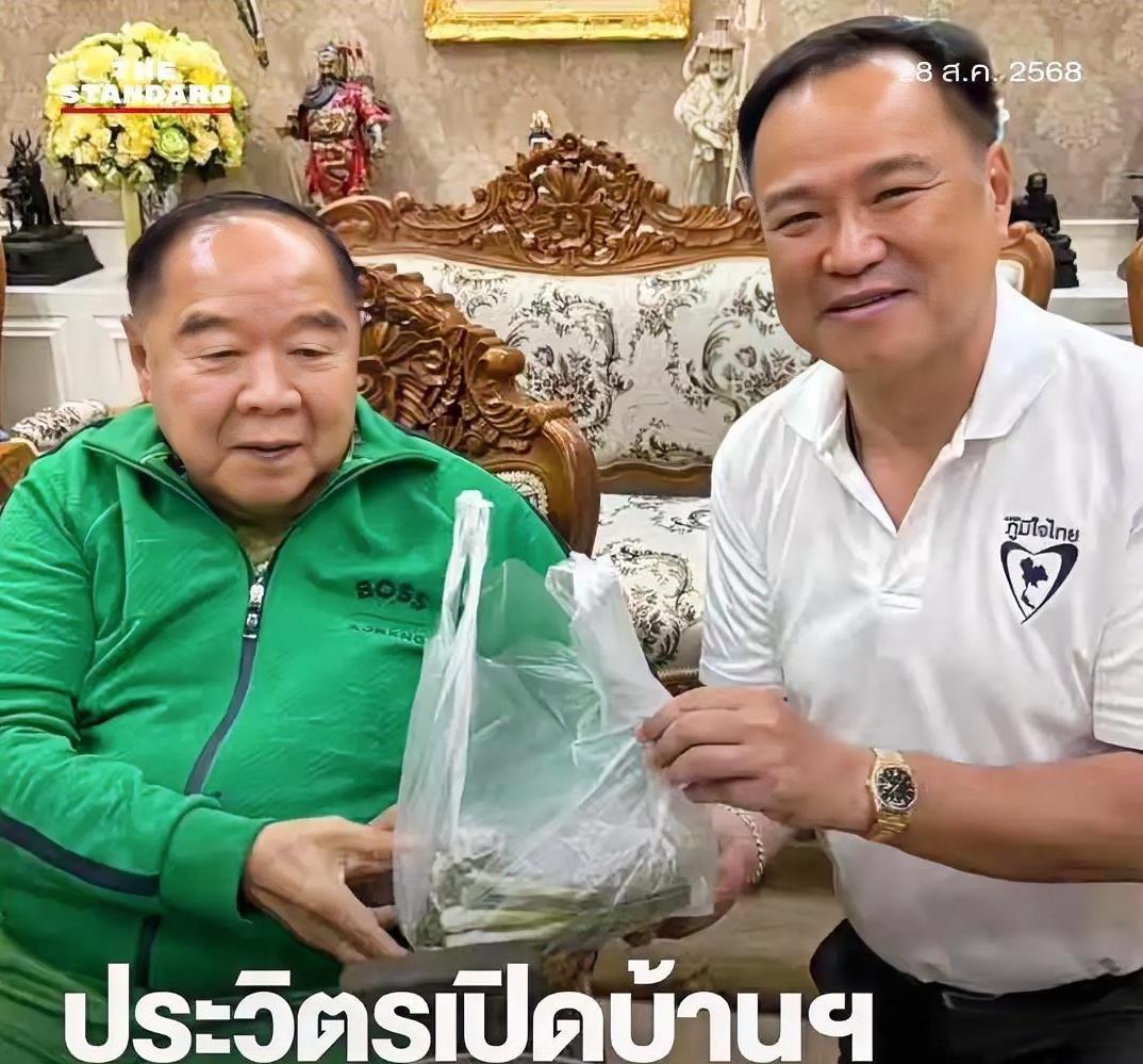 阿努廷为了获得巴逸的支持，主动去拜访巴逸，关心他近期的身体恢复情况。还给他送去一