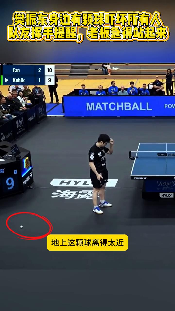 樊振东身边有颗球吓坏所有人，队友挥手提醒，老板急得站起来。注意看，地上这颗球离