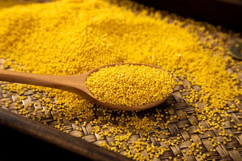 冬日生活打卡季冬季养生，饮食和运动都不能少。饮食是关键，立冬后可多吃些能健脾胃