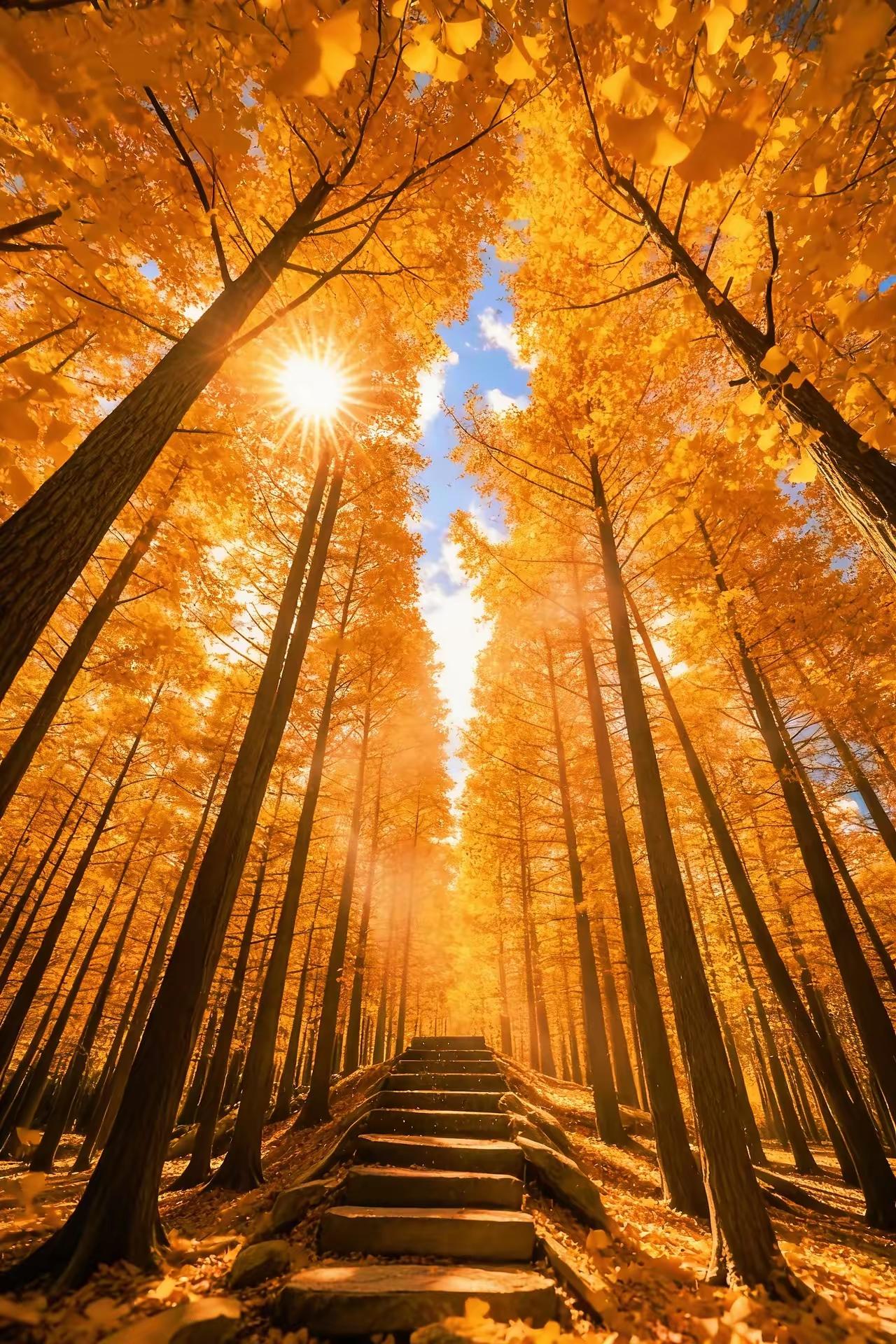 人生最硬的底牌，只有这三个字！​第一：靠自己钱要自己赚，才花得硬气；路要自