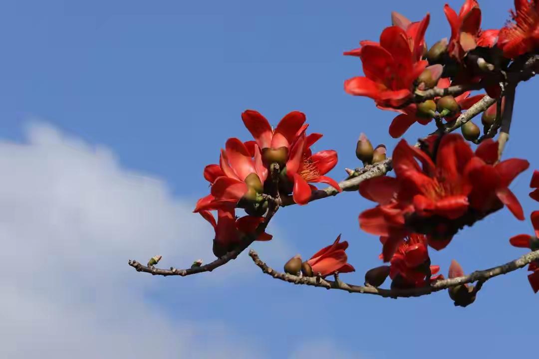 常听人讲，人过了中年才明白，真正的福气其实都藏在生活的六个小地方里。你占了