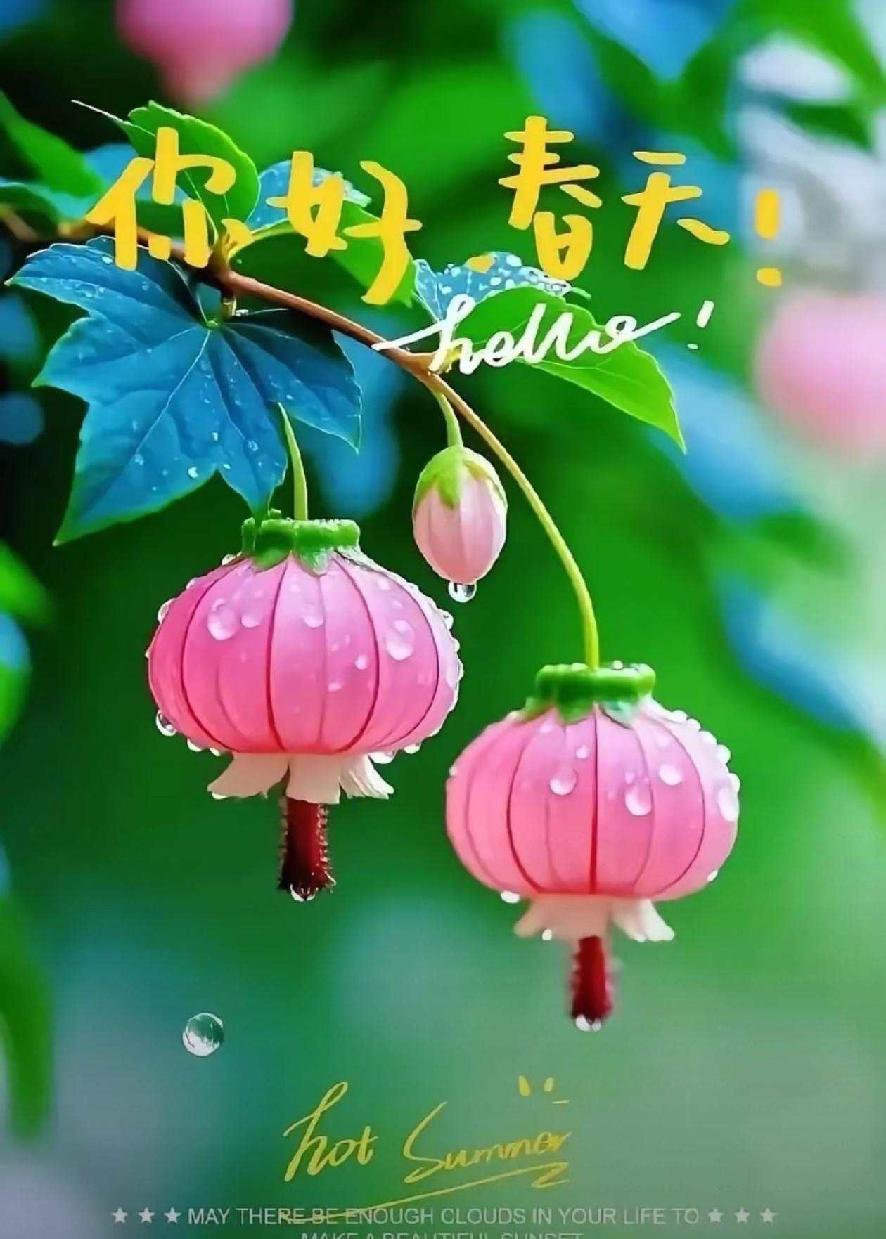 七绝🌿问春🌿谷雨初晴润野芳，风摇新绿满庭香。凭栏漫问流光意，谁送春归