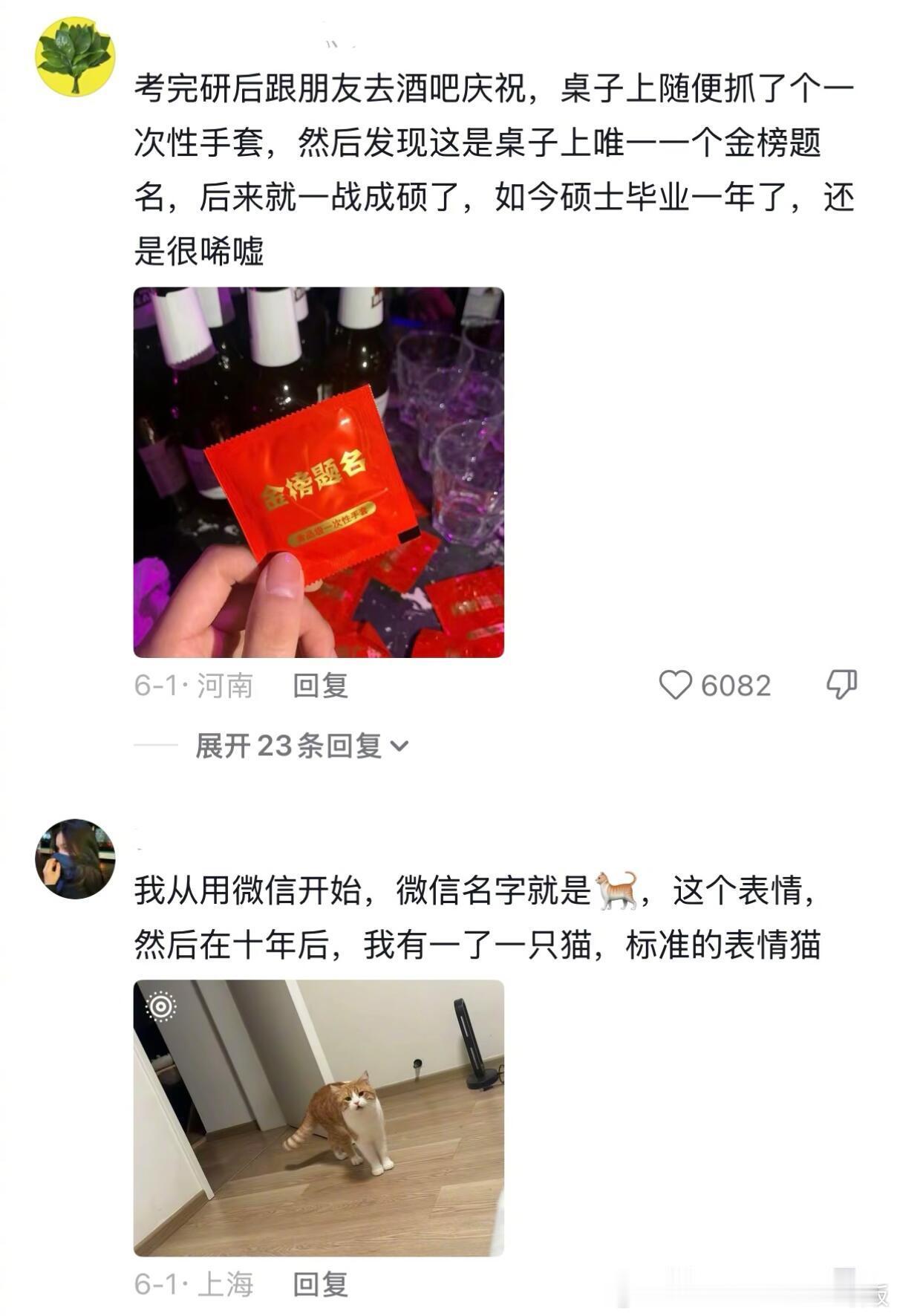 原来一切都是命运的安排吗